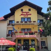 Pensiunea Ana Maria, hotel i Brad