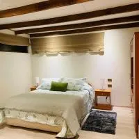 Acogedor céntrico loft, hotel en Angol