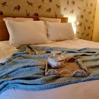 La Hulottière, hotel en Saint-Rémy-du-Plain