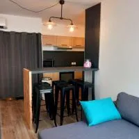 T3 Meublé 6 Couchages, hotel u gradu 'Monein'