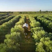 Olive Grove Retreat 2 by Tiny Away, hôtel à Lake Boga