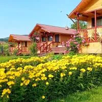 Baltina Parc Transfagarasan, hotel v destinaci Curtea de Argeş