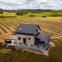 Okno na winnicę, hotel in Banie Mazurskie