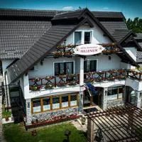 Hotel-Restaurant Milenium, hotel Nagyszalontán