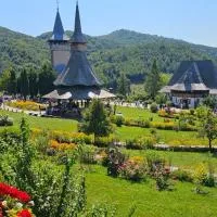 Vila Bârsana: Bîrsana şehrinde bir otel