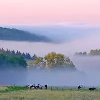 Auprès de mon arbre、Gros-Faysのホテル