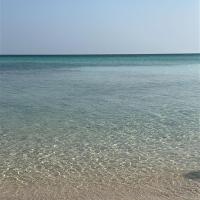 Appartamento STELLA DEL SALENTO Brindisi, hotel poblíž Letiště Apulia Casale Brindisi - BDS, Brindisi
