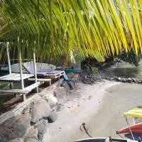 Les poissons du lagon YH, hotel a Uturoa