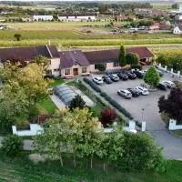 Resort Kovács, Hotel in Novosedly