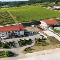 Pensiunea Fort Silvan, hotel v destinaci Camăr