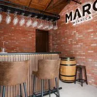 Apartments Maro Winnica، فندق في Trzebuń