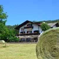 Hotel Garni Edy, hotell i Daiano