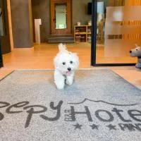 Bepy Hotel Garni, hotell sihtkohas Giustino