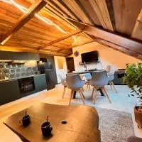 Apartmány Miláček，Žďárná的飯店