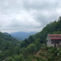 In the Forest, hotel v mestu K'vemo Jocho