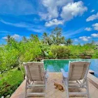 Pondok Is Oke bambo infinity pool, hotel a Licin