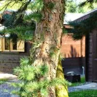 Bike Camping, hotel v destinácii Przewóz