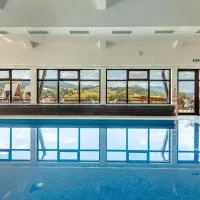 Pensiunea La Bella Vista, hotel di Poiana Negrii