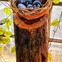 The BIRD Nest, hotel di Guwahati