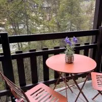 Vue montagne, proche remontées mécaniques et commodités, Risoul, hotel u Risoulu