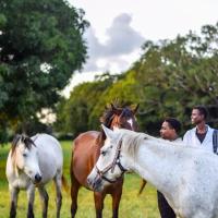 Galloping Adventures, hotel berdekatan Lapangan Terbang Malindi - MYD, Malindi
