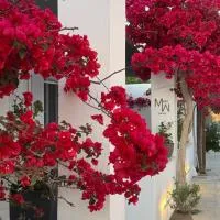 Mellow Paros, hotel Parikiában