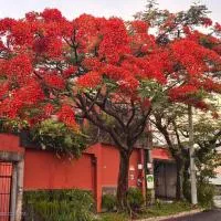 Viesnīca Arbol de Fuego Eco-hotel pilsētā Sansalvadora