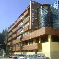 Hotel Cindrel, hotel v destinaci Păltiniş