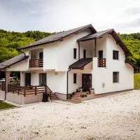 Pensiunea Cristina, hotel v destinácii Miceşti