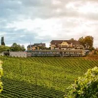 Weinrefugium Brolli, hotel en Gamlitz