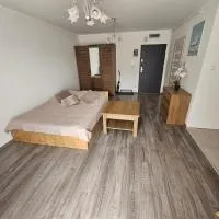 Apartament Komorniki - Osiedla na Skraju Lasu, hótel í Komorniki