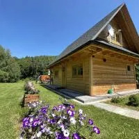 Chatka z jacuzzi przy lesie Roztocze Szewnia Dolna 74 22-442, hotel a Szewnia