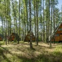 Domki letniskowe w lesie nad jeziorem - Kaszuby, Ośrodek Wczasowy KLIF, Hotel in Wdzydze Kiszewskie