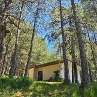 Bujtinat Skenderi Gjinar 2, hotel en Gjinar