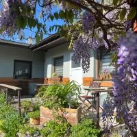 A+R Pension – hotel w Pilznie