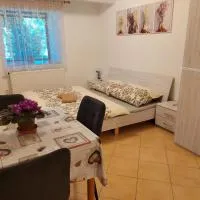 Ubytování Hamry, hotel din Hlinsko