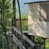 Mesteceni Glamping, hotel Nistoreşti városában