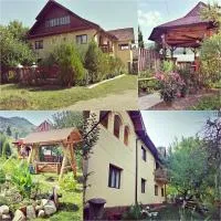 Pensiunea La Muncel, hotel i Sadova