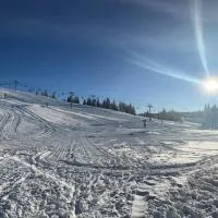 Studio pied des pistes Les Gets - 4 pers rénové, hotel em Les Gets