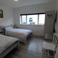 Butterfly Cottage Retreat - Private Studio Getaway, hotel en Delvin