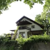 Casa Mariei - Vila Breaza, hotel a Breaza