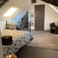 Chambre chaleureuse avec accès indépendant et sanitaires indépendants, hotel em La Menitré