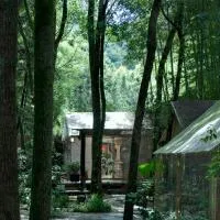 景德镇树园心舍民宿JDZ Forest Haven B&B, hotel i Jingdezhen