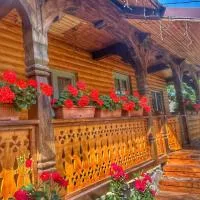 Pensiunea Casa Traditiilor, hotel i Ieud