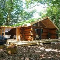 Secluded Hand Crafted Log Cabin, hotel din Okehampton