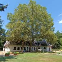 Garden Szálláshely, ξενοδοχείο σε Balatonszemes