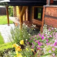 Apartament w Bieszczadach - Willa Stasia, hotel em Ustianowa