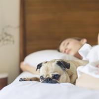 Holiday Inn Express Tucson-Airport by IHG, hotel near Tucson International Airport - TUS, Tucson
