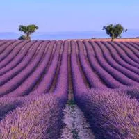 Cocon Authentique de Roussillon、ルシヨンのホテル