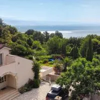 Domizil Opatija A&N, Villa mit Pool, Wohlfühloase zum genießen, hotel a Poljane